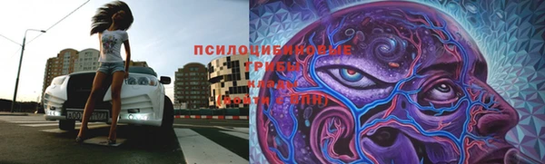 mdpv Алзамай