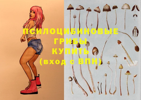 стафф Киренск