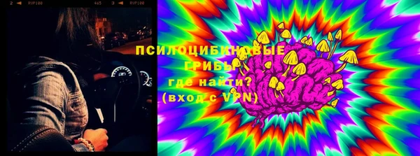 стафф Алексеевка