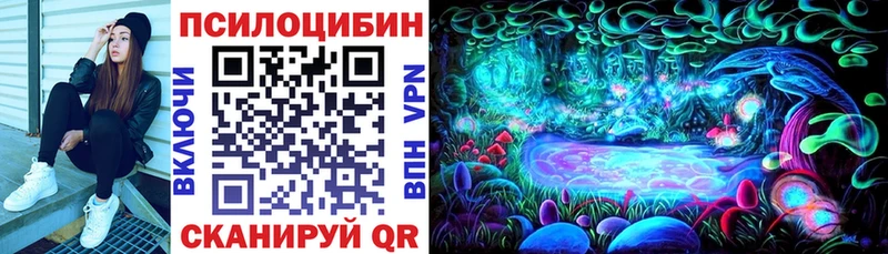 Псилоцибиновые грибы Magic Shrooms  blacksprut маркетплейс  Пласт 